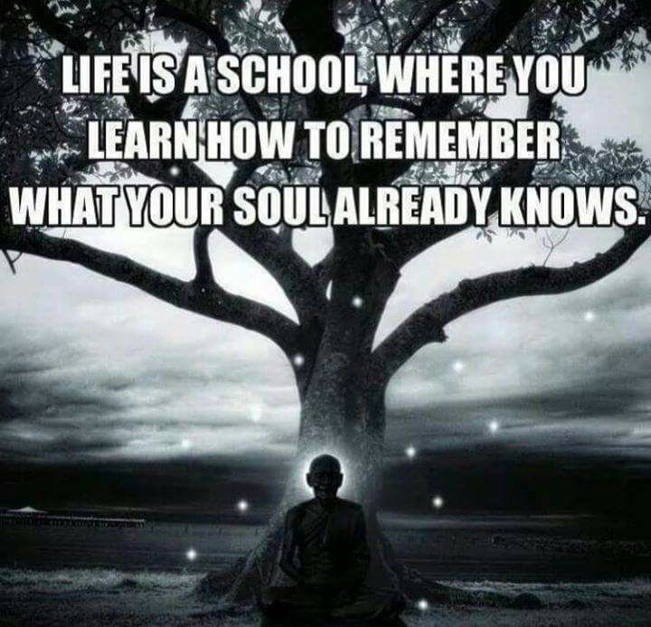 Life is a School