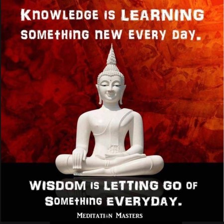 Wisdom vs Knowledge